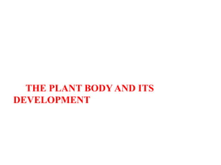 THE PLANT BODY AND ITS
DEVELOPMENT
 