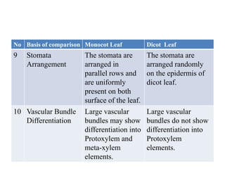 No Basis of comparison Monocot Leaf Dicot Leaf
9 Stomata
Arrangement
The stomata are
arranged in
parallel rows and
are uniformly
present on both
surface of the leaf.
The stomata are
arranged randomly
on the epidermis of
dicot leaf.
10 Vascular Bundle
Differentiation
Large vascular
bundles may show
differentiation into
Protoxylem and
meta-xylem
elements.
Large vascular
bundles do not show
differentiation into
Protoxylem
elements.
 