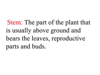 Stem: The part of the plant that
is usually above ground and
bears the leaves, reproductive
parts and buds.
 