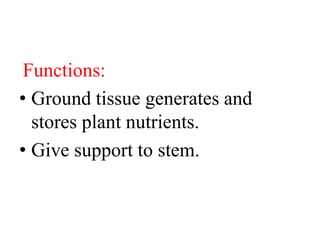 Functions:
• Ground tissue generates and
stores plant nutrients.
• Give support to stem.
 