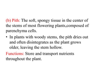 (b) Pith: The soft, spongy tissue in the center of
the stems of most flowering plants,composed of
parenchyma cells.
• In plants with woody stems, the pith dries out
and often disintegrates as the plant grows
older, leaving the stem hollow.
Functions: Store and transport nutrients
throughout the plant.
 