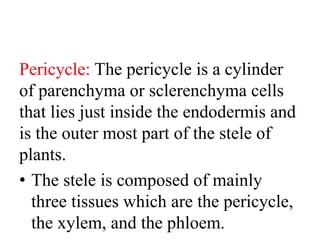 Pericycle: The pericycle is a cylinder
of parenchyma or sclerenchyma cells
that lies just inside the endodermis and
is the outer most part of the stele of
plants.
• The stele is composed of mainly
three tissues which are the pericycle,
the xylem, and the phloem.
 