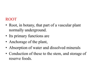 ROOT
• Root, in botany, that part of a vascular plant
normally underground.
• Its primary functions are
• Anchorage of the plant,
• Absorption of water and dissolved minerals
• Conduction of these to the stem, and storage of
reserve foods.
 
