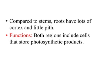 • Compared to stems, roots have lots of
cortex and little pith.
• Functions: Both regions include cells
that store photosynthetic products.
 