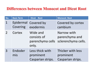 Differences between Monocot and Dicot Root
No. Basic Term Dicot Root Monocot Root
1 Epidermal
Covering
Covered by
exodermis
Covered by cortex
cambium
2 Cortex Wide and
consists of
parenchyma cells
only.
Narrow with
parenchyma and
sclerenchyma cells.
3 Endoder
mis
Less thick with
prominent
Casparian strips.
Thicker with less
prominent
Casparian strips.
 