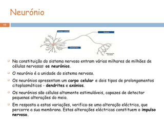 11
Neurónio
 Na constituição do sistema nervoso entram vários milhares de milhões de
células nervosas: os neurónios.
 O neurónio é a unidade do sistema nervoso.
 Os neurónios apresentam um corpo celular e dois tipos de prolongamentos
citoplasmáticos - dendrites e axónios.
 Os neurónios são células altamente estimuláveis, capazes de detectar
pequenas alterações do meio.
 Em resposta a estas variações, verifica-se uma alteração eléctrica, que
percorre a sua membrana. Estas alterações eléctricas constituem o impulso
nervoso.
 