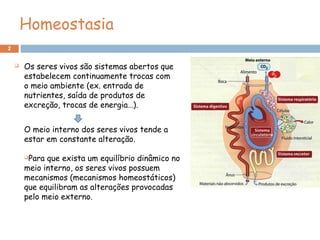 2
Homeostasia
O meio interno dos seres vivos tende a
estar em constante alteração.
Para que exista um equilíbrio dinâmico no
meio interno, os seres vivos possuem
mecanismos (mecanismos homeostáticos)
que equilibram as alterações provocadas
pelo meio externo.
 Os seres vivos são sistemas abertos que
estabelecem continuamente trocas com
o meio ambiente (ex. entrada de
nutrientes, saída de produtos de
excreção, trocas de energia…).
 