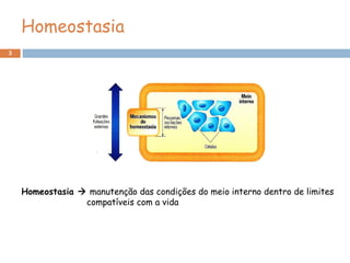 3
Homeostasia  manutenção das condições do meio interno dentro de limites
compatíveis com a vida
Homeostasia
 