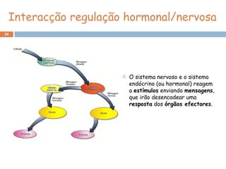 34
Interacção regulação hormonal/nervosa
 O sistema nervoso e o sistema
endócrino (ou hormonal) reagem
a estímulos enviando mensagens,
que irão desencadear uma
resposta dos órgãos efectores.
 