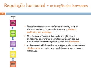 37
 Para dar resposta aos estímulos do meio, além do
sistema nervoso, os animais possuem o sistema
endócrino ou hormonal.
 O sistema endócrino é formado por glândulas
endócrinas secretoras de moléculas orgânicas que
funcionam como mensageiros químicos – hormonas.
 As hormonas são lançadas no sangue e vão actuar sobre
células-alvo, as quais desencadeiam uma determinada
alteração.
Regulação hormonal – actuação das hormonas
 