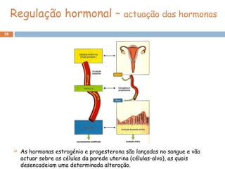 38
 As hormonas estrogénio e progesterona são lançadas no sangue e vão
actuar sobre as células da parede uterina (células-alvo), as quais
desencadeiam uma determinada alteração.
Regulação hormonal – actuação das hormonas
 