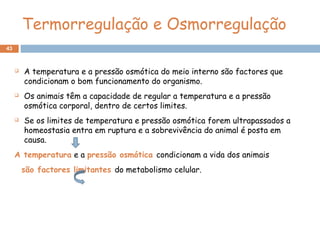 43
Termorregulação e Osmorregulação
 A temperatura e a pressão osmótica do meio interno são factores que
condicionam o bom funcionamento do organismo.
 Os animais têm a capacidade de regular a temperatura e a pressão
osmótica corporal, dentro de certos limites.
 Se os limites de temperatura e pressão osmótica forem ultrapassados a
homeostasia entra em ruptura e a sobrevivência do animal é posta em
causa.
A temperatura e a pressão osmótica condicionam a vida dos animais
são factores limitantes do metabolismo celular.
 