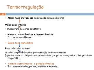 45
Termorregulação
 Maior taxa metabólica (circulação dupla completa)
Maior calor interno
Temperatura do corpo constante
 Animais endotérmicos e homeotérmicos
 Ex. aves e mamíferos
 Baixa taxa metabólica
Reduzido calor interno
O calor corporal é obtido por absorção do calor externo
(apresentam estratégias comportamentais que permitem ajustar a temperatura
corporal)
• Animais ectotérmicos e poiquilotérmicos
• Ex. invertebrados, peixes, anfíbios e répteis.
 