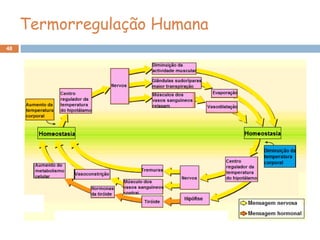 48
Termorregulação Humana
 