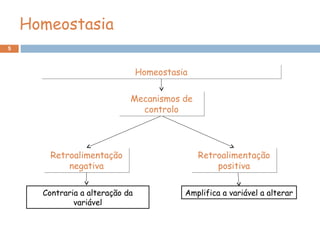 5
Homeostasia
HomeostasiaHomeostasia
Retroalimentação
negativa
Retroalimentação
negativa
Retroalimentação
positiva
Retroalimentação
positiva
Contraria a alteração da
variável
Mecanismos de
controlo
Mecanismos de
controlo
Amplifica a variável a alterar
 