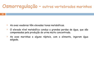 63
Osmorregulação – outros vertebrados marinhos
 As aves voadoras têm elevadas taxas metabólicas.
 O elevado nível metabólico conduz a grandes perdas de água, que são
compensadas pela produção de urina muito concentrada.
 As aves marinhas e alguns répteis, com o alimento, ingerem água
salgada.
 