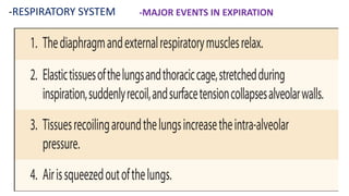 -RESPIRATORY SYSTEM -MAJOR EVENTS IN EXPIRATION
 