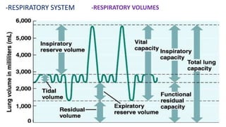-RESPIRATORY SYSTEM -RESPIRATORY VOLUMES
 