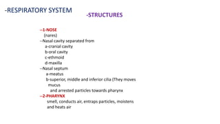 -RESPIRATORY SYSTEM
-STRUCTURES
--1-NOSE
(nares)
--Nasal cavity separated from
a-cranial cavity
b-oral cavity
c-ethmoid
d-maxilla
--Nasal septum
a-meatus
b-superior, middle and inferior cilia (They moves
mucus
and arrested particles towards pharynx
--2-PHARYNX
smell, conducts air, entraps particles, moistens
and heats air
 
