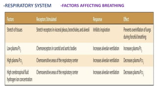 -RESPIRATORY SYSTEM -FACTORS AFFECTING BREATHING
 
