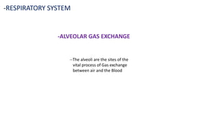 -RESPIRATORY SYSTEM
-ALVEOLAR GAS EXCHANGE
--The alveoli are the sites of the
vital process of Gas exchange
between air and the Blood
 