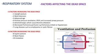 -RESPIRATORY SYSTEM -FACTORS AFFECTING THE DEAD SPACE
--A-FACTORS INCREASING THE DEAD SPACE
--1-Upright posture
--2-Neck Extension
--3-Advanced age
--4-Positive pressure ventilation, PEEP, and increased airway pressure
--5-Anticholinergics which cause Broncho-dilatation
--6-Decreased Pulmonary perfusion e.g Pulmonary emboli or Hypotension
--7-Lung diseases such as emphysema or cystic fibrosa
--B-FACTORS DECREASING THE DEAD SPACE
--8-Supine posture
--9-Neck Flexion
--10-Intubation
 