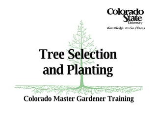 Colorado Master Gardener Training Tree Selection  and Planting  