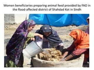 Lessons and policy options for emergency preparedness in flood prone areas of Asia