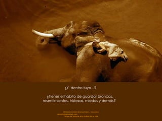 ¿Y  dentro tuyo...? ¿Tienes el hábito de guardar broncas,  resentimientos, tristezas, miedos y demás?  