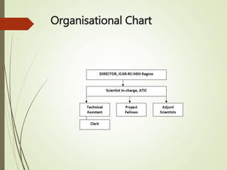 Organisational Chart
 