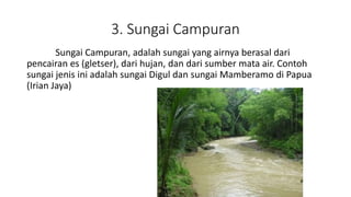 3. Sungai Campuran
Sungai Campuran, adalah sungai yang airnya berasal dari
pencairan es (gletser), dari hujan, dan dari sumber mata air. Contoh
sungai jenis ini adalah sungai Digul dan sungai Mamberamo di Papua
(Irian Jaya)
 