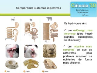 Comparando sistemas digestivos




                                 Os herbívoros têm:

                                  um estômago mais
                                 volumoso (para ingerir
                                 grandes    quantidades
                                 de alimentos);

                                  um intestino mais
                                 comprido do que os
                                 carnívoros,     para
                                 poderem absorver os
                                 nutrientes de forma
                                 mais eficiente.
 