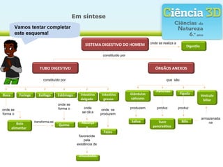 Em síntese
          Vamos tentar completar
          este esquema!
                                                                                               onde se realiza a
                                                     SISTEMA DIGESTIVO DO HOMEM                                         Digestão

                                                                 constituído por


                        TUBO DIGESTIVO                                                            ÓRGÃOS ANEXOS

                           constituído por                                                               que são


                                                                                                   Pâncreas
Boca       Faringe      Esófago      Estômago     Intestino     Intestino          Glândulas                       Fígado
                                                                                                                                   Vesícula
                                                  delgado        grosso            salivares                                        biliar
                                     onde se
                                     forma o        onde                           produzem        produz          produz
onde se                                                          onde se
                                                   se dá a
forma o                                                         produzem
                                                                                                                                   armazenada
                     transforma-se                Absorçã                          Saliva          Suco              Bílis             na
          Bolo                       Quimo
       alimentar                                    o                                           pancreático
                                                                 Fezes
                                                 favorecida
                                                     pela
                                                existência de


                                                 Vilosidades
 