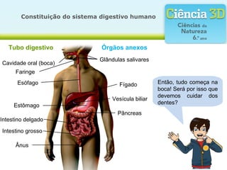 Constituição do sistema digestivo humano




   Tubo digestivo              Órgãos anexos
                               Glândulas salivares
Cavidade oral (boca)
      Faringe
      Esófago                         Fígado         Então, tudo começa na
                                                     boca! Será por isso que
                                                     devemos cuidar dos
                                   Vesícula biliar
                                                     dentes?
     Estômago
                                     Pâncreas
Intestino delgado

Intestino grosso

      Ânus
 