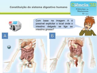 Constituição do sistema digestivo humano




                  Com base na imagem A é
                  possível explicitar o local onde o
                  intestino delgado se liga ao
                  intestino grosso?
 