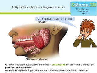 A digestão na boca – a língua e a saliva



                             E a saliva, qual é a sua
                             função?




                  Glândulas salivares

A saliva amolece e lubrifica os alimentos – ensalivação e transforma o amido em
produtos mais simples.
Através da ação da língua, dos dentes e da saliva forma-se o bolo alimentar.
 