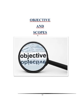 13
OBJECTIVE
AND
SCOPES
 