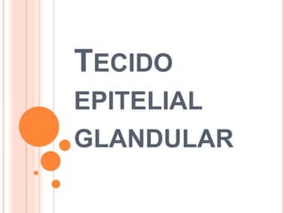 TECIDO
EPITELIAL
GLANDULAR

 