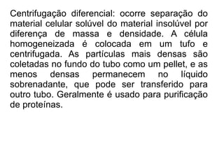 Centrifugação diferencial: ocorre separação do material celular solúvel do material insolúvel por diferença de massa e densidade. A célula homogeneizada é colocada em um tufo e centrifugada. As partículas mais densas são coletadas no fundo do tubo como um pellet, e as menos densas permanecem no líquido sobrenadante, que pode ser transferido para outro tubo. Geralmente é usado para purificação de proteínas. 