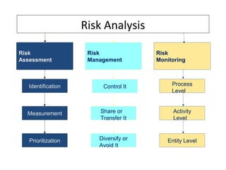 Potential Entity Level Risks Examples Presentation_20110802213554 | PPT