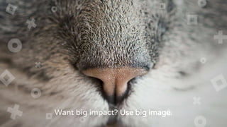 Want big impact? Use big image.
 