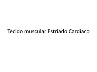 Tecido muscular Estriado Cardíaco

 