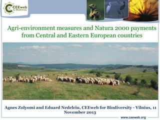 www.ceeweb.org
Agri-environment measures and Natura 2000 payments
from Central and Eastern European countries
Agnes Zolyomi and Eduard Nedelciu, CEEweb for Biodiversity - Vilnius, 11
November 2013
 