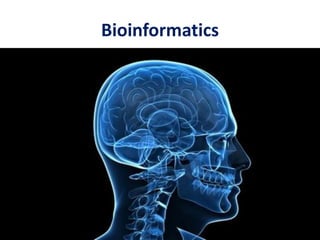 Bioinformatics
 