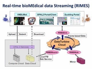 Real-tIme bioMEdical data Streaming (RIMES)
 