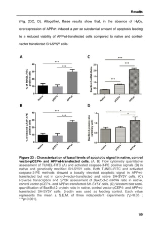 Results
99
(Fig. 23C, D). Altogether, these results show that, in the absence of H2O2,
overexpression of APPwt induced a per se substantial amount of apoptosis leading
to a reduced viability of APPwt-transfected cells compared to native and control-
vector transfected SH-SY5Y cells.
Figure 23 : Characterization of basal levels of apoptotic signal in native, control
vector-pCEP4- and APPwt-transfected cells. (A, B) Flow cytometry quantitative
assessment of TUNEL-FITC (A) and activated caspase-3-PE positive signals (B) in
native and genetically modified SH-SY5Y cells. Both TUNEL-FITC and activated
caspase-3-PE methods showed a basally elevated apoptotic signal in APPwt-
transfected but not in control-vector-transfected and native SH-SY5Y cells. (C)
Reverse transcription and qPCR assessment of Bax/Bcl-2 mRNA ratio in native,
control vector-pCEP4- and APPwt-transfected SH-SY5Y cells. (D) Western blot semi-
quantification of Bax/Bcl-2 protein ratio in native, control vector-pCEP4- and APPwt-
transfected SH-SY5Y cells; β-actin was used as loading control. Each value
represents the mean ± S.E.M. of three independent experiments (*p<0.05 ;
***p<0.001).
 