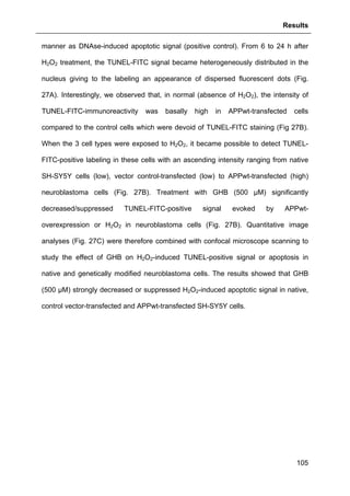 Results
105
manner as DNAse-induced apoptotic signal (positive control). From 6 to 24 h after
H2O2 treatment, the TUNEL-FITC signal became heterogeneously distributed in the
nucleus giving to the labeling an appearance of dispersed fluorescent dots (Fig.
27A). Interestingly, we observed that, in normal (absence of H2O2), the intensity of
TUNEL-FITC-immunoreactivity was basally high in APPwt-transfected cells
compared to the control cells which were devoid of TUNEL-FITC staining (Fig 27B).
When the 3 cell types were exposed to H2O2, it became possible to detect TUNEL-
FITC-positive labeling in these cells with an ascending intensity ranging from native
SH-SY5Y cells (low), vector control-transfected (low) to APPwt-transfected (high)
neuroblastoma cells (Fig. 27B). Treatment with GHB (500 µM) significantly
decreased/suppressed TUNEL-FITC-positive signal evoked by APPwt-
overexpression or H2O2 in neuroblastoma cells (Fig. 27B). Quantitative image
analyses (Fig. 27C) were therefore combined with confocal microscope scanning to
study the effect of GHB on H2O2-induced TUNEL-positive signal or apoptosis in
native and genetically modified neuroblastoma cells. The results showed that GHB
(500 µM) strongly decreased or suppressed H2O2-induced apoptotic signal in native,
control vector-transfected and APPwt-transfected SH-SY5Y cells.
 