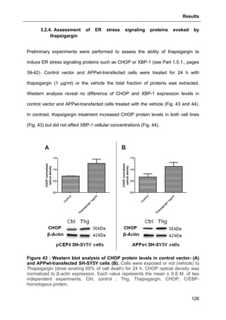 Results
126
3.2.4. Assessment of ER stress signaling proteins evoked by
thapsigargin
Preliminary experiments were performed to assess the ability of thapsigargin to
induce ER stress signaling proteins such as CHOP or XBP-1 (see Part 1.5.1., pages
39-42). Control vector and APPwt-transfected cells were treated for 24 h with
thapsigargin (1 µg/ml) or the vehicle the total fraction of proteins was extracted.
Western analysis reveal no difference of CHOP and XBP-1 expression levels in
control vector and APPwt-transfected cells treated with the vehicle (Fig. 43 and 44).
In contrast, thapsigargin treatment increased CHOP protein levels in both cell lines
(Fig. 43) but did not affect XBP-1 cellular concentrations (Fig. 44).
Figure 43 : Western blot analysis of CHOP protein levels in control vector- (A)
and APPwt-transfected SH-SY5Y cells (B). Cells were exposed or not (vehicle) to
Thapsigargin (dose evoking 60% of cell death) for 24 h. CHOP optical density was
normalized to β-actin expression. Each value represents the mean ± S.E.M. of two
independent experiments. Ctrl, control ; Thg, Thapsigargin. CHOP, C/EBP-
homologous protein.
 