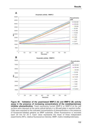 Results
132
Figure 48 : Validation of the yeast-based MMP-2 (A) and MMP-9 (B) activity
assay in the presence of increasing concentrations of the metalloproteinase
inhibitor phenanthroline. Yeast expressing human MMP-2 or MMP-9 at the cell
surface were deposed at the same optical density in a 96-well plate in reaction buffer.
Cells were exposed to the indicated concentrations of phenanthroline in the presence
of fluorescein-labeled gelatine as MMP substrate. Green fluorescence is recorded
each 20 min for 20 h. Each value represents the mean of three independent
experiments (RFU, relative fluorescence intensity. MMP, matrix metalloproteinase).
 