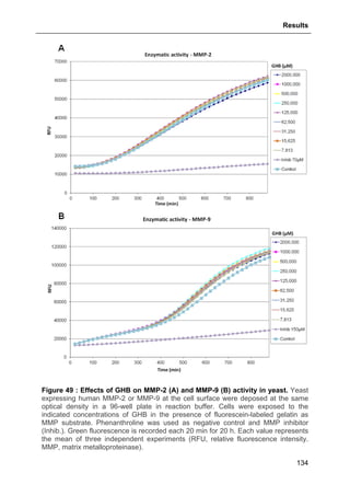 Results
134
Figure 49 : Effects of GHB on MMP-2 (A) and MMP-9 (B) activity in yeast. Yeast
expressing human MMP-2 or MMP-9 at the cell surface were deposed at the same
optical density in a 96-well plate in reaction buffer. Cells were exposed to the
indicated concentrations of GHB in the presence of fluorescein-labeled gelatin as
MMP substrate. Phenanthroline was used as negative control and MMP inhibitor
(Inhib.). Green fluorescence is recorded each 20 min for 20 h. Each value represents
the mean of three independent experiments (RFU, relative fluorescence intensity.
MMP, matrix metalloproteinase).
 
